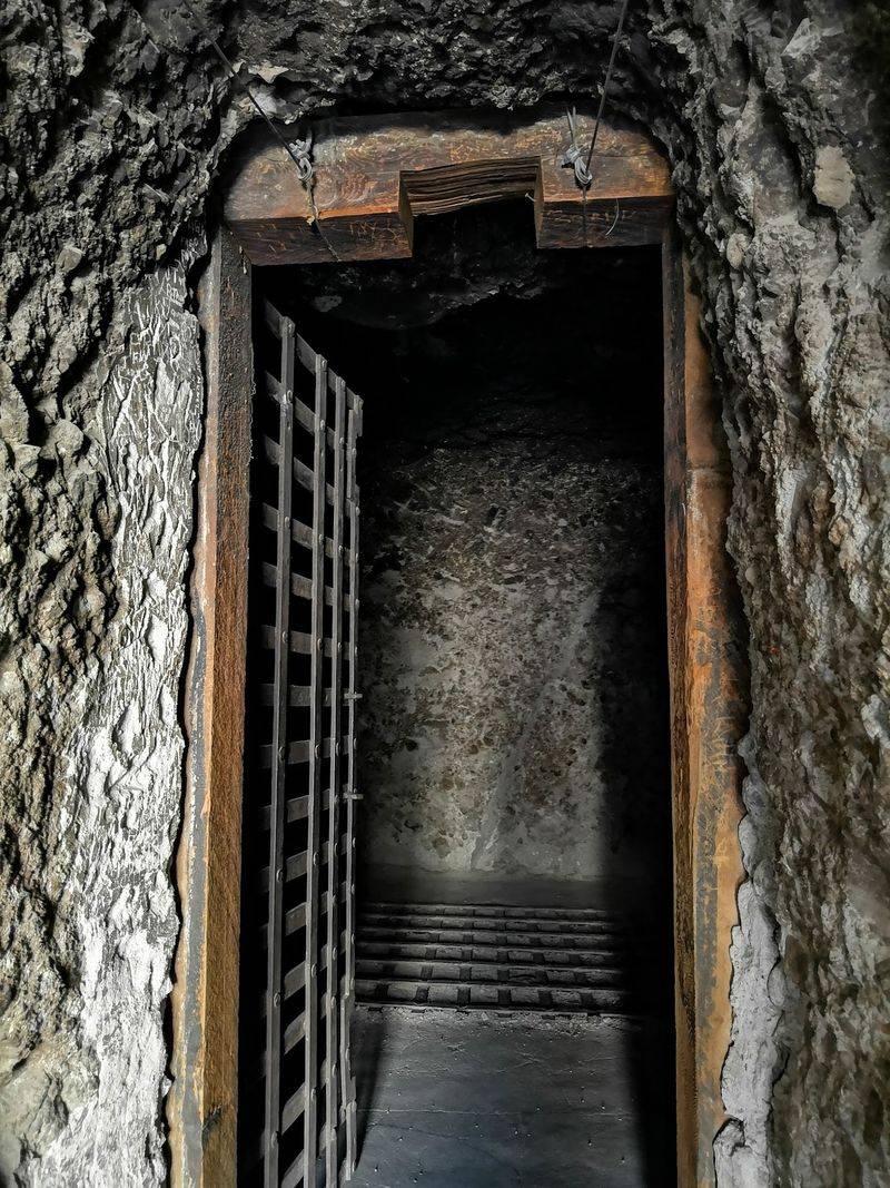 The Cells That Never Left