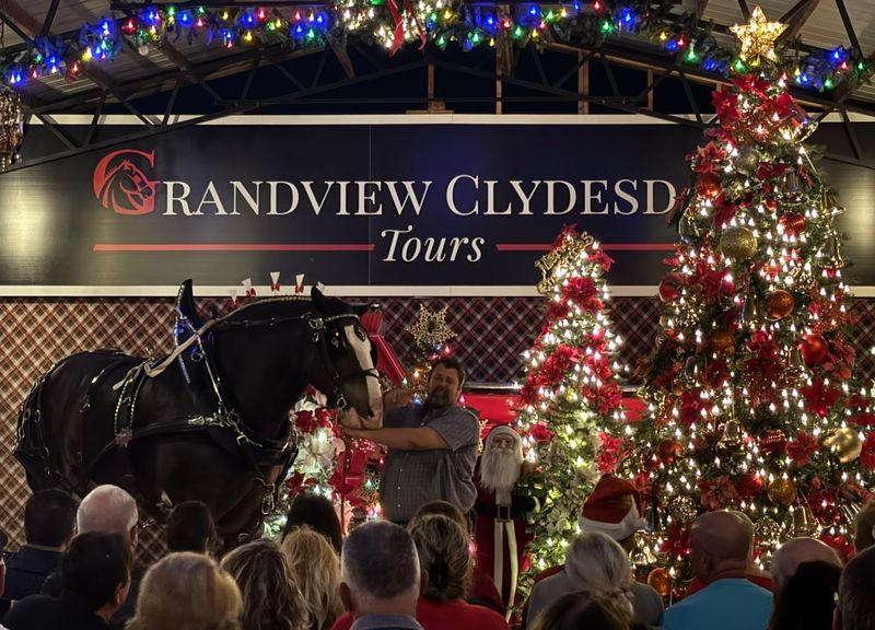 The Christmas Tour Everyone Talks About
