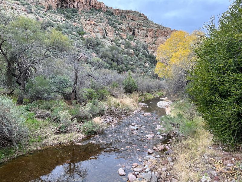 The Creek, The Pond, And The Water The Creek, The Pond, And The Water