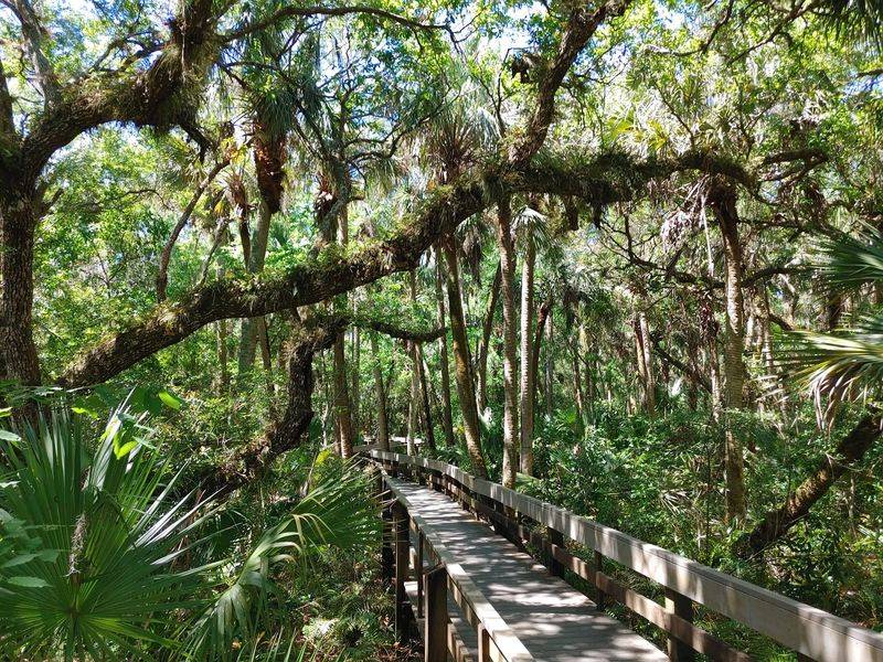The Elevated Boardwalk That Steals the Show The Elevated Boardwalk That Steals the Show