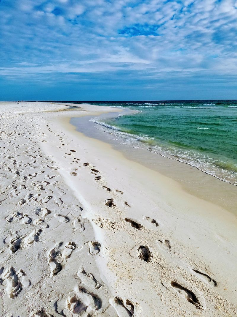 The Gulf Coast Setting