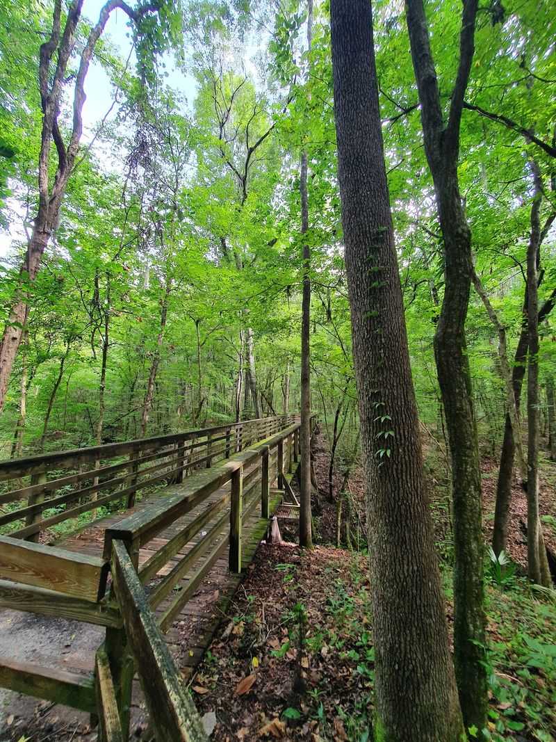 The Half-Mile Loop Around the Rim