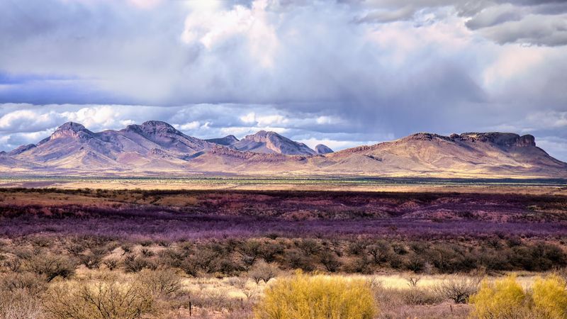 The Huachuca Mountains As A Backdrop The Huachuca Mountains As A Backdrop