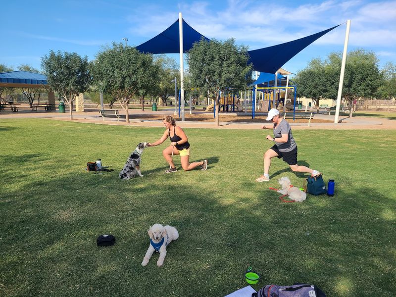 The Humans Get Trained Too The Humans Get Trained Too