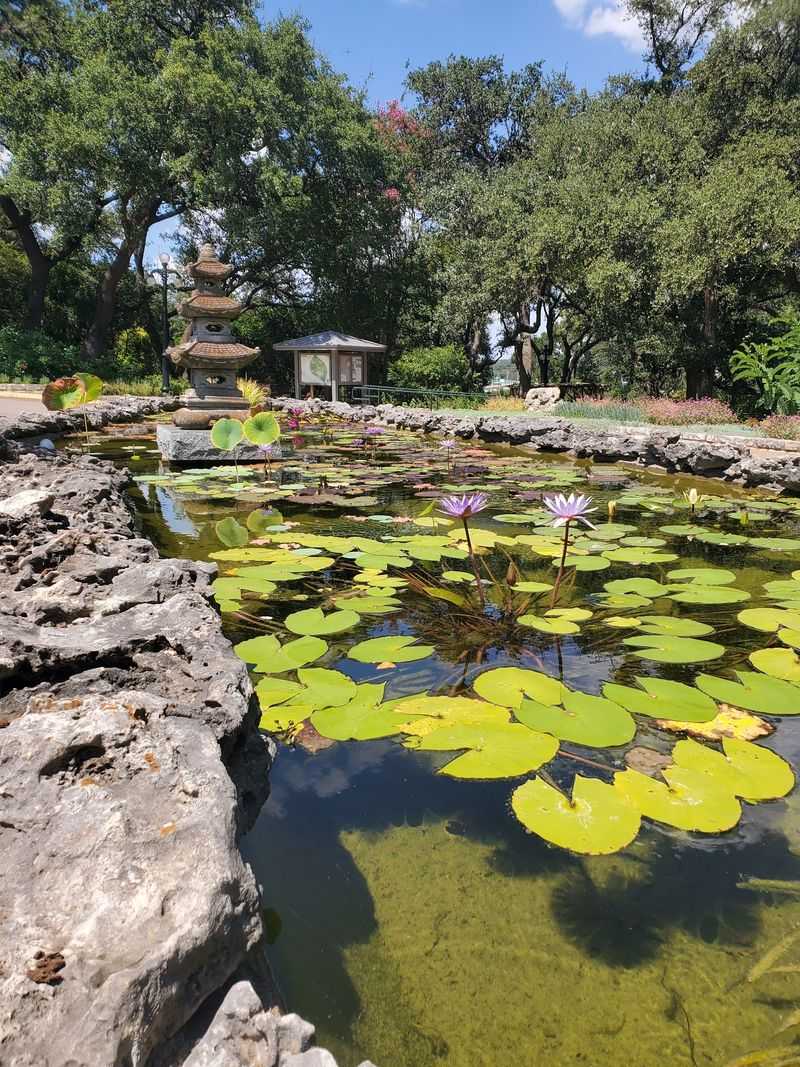 The Japanese Garden Steals the Show