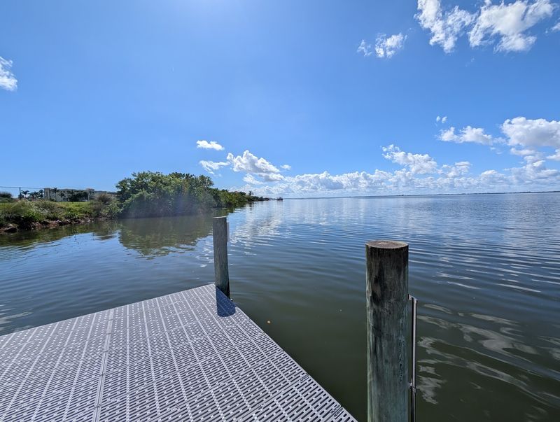 The Little Dock Where Manatees Come to You