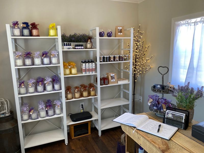 The Little Purple Cottage Full of Treasures The Little Purple Cottage Full of Treasures