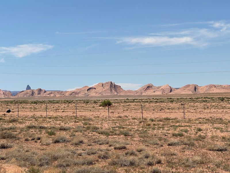The Long Drive Through Big Country The Long Drive Through Big Country