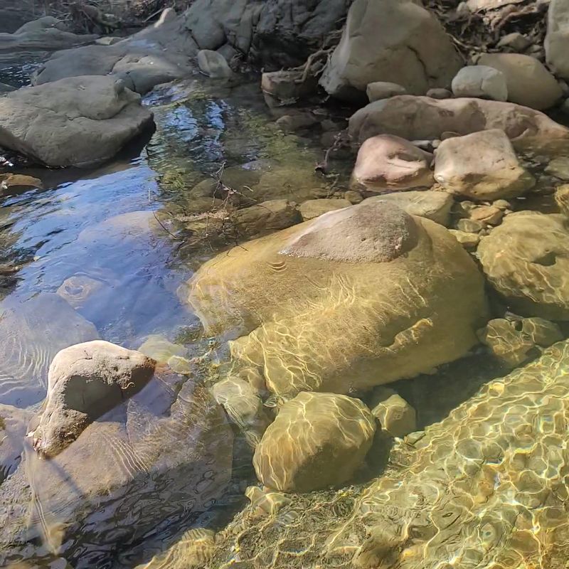 The Main Pool and Its Viewpoints The Main Pool and Its Viewpoints