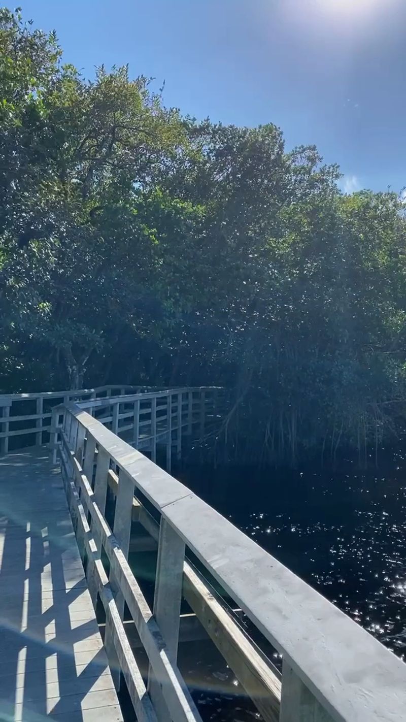The Manatee Observation Deck in the Works The Manatee Observation Deck in the Works