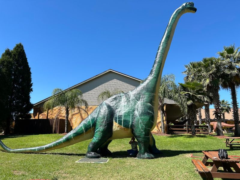 The Mini Train, Baby Dino Rides, and Mini Golf