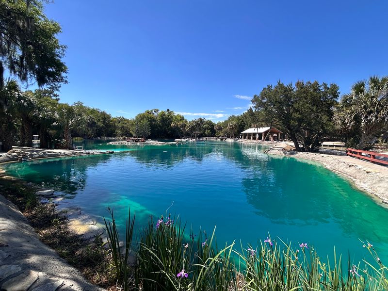 The Oasis, a Very Blue Lagoon The Oasis, a Very Blue Lagoon