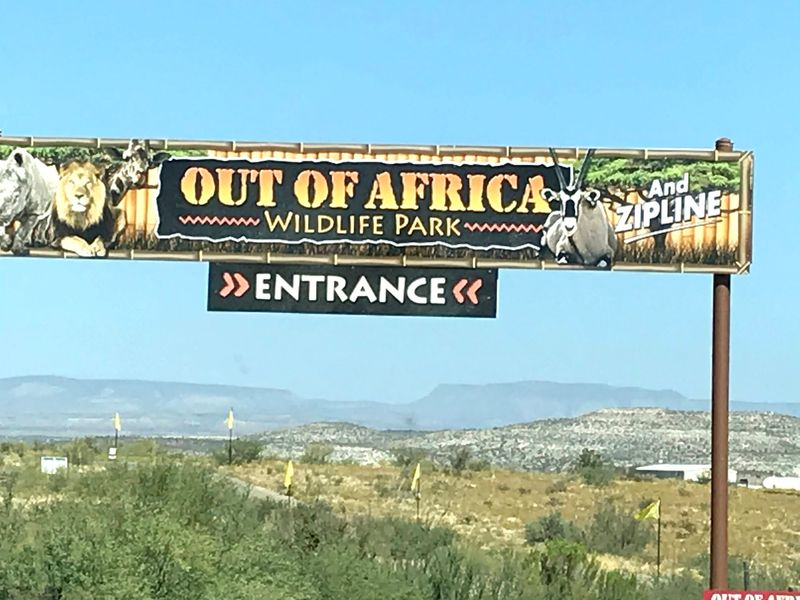 The Predator Zipline For A Bird's-Eye View