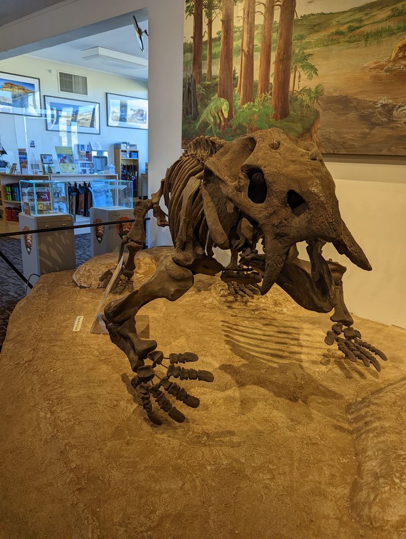 The Rainbow Forest Museum And Visitor Centers