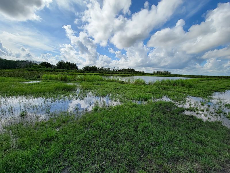 The Story Behind Paynes Prairie The Story Behind Paynes Prairie