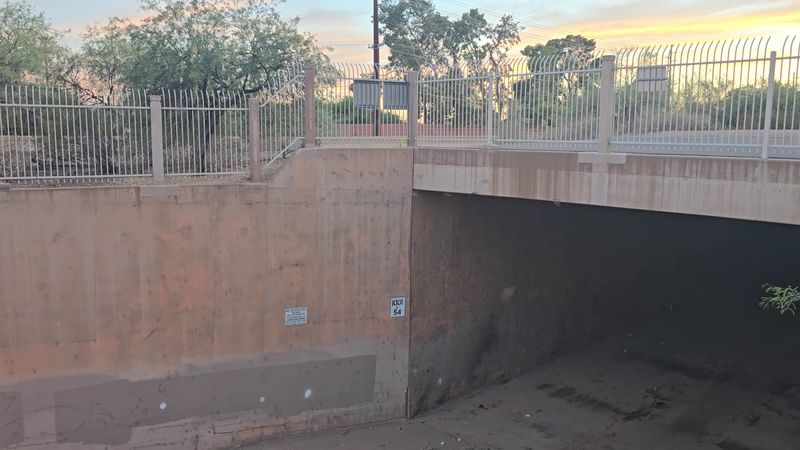 The Story of a Tunnel Turned Roost The Story of a Tunnel Turned Roost
