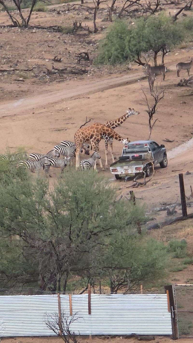 The SuperMog Tour And Getting Nose-To-Nose With Wildlife