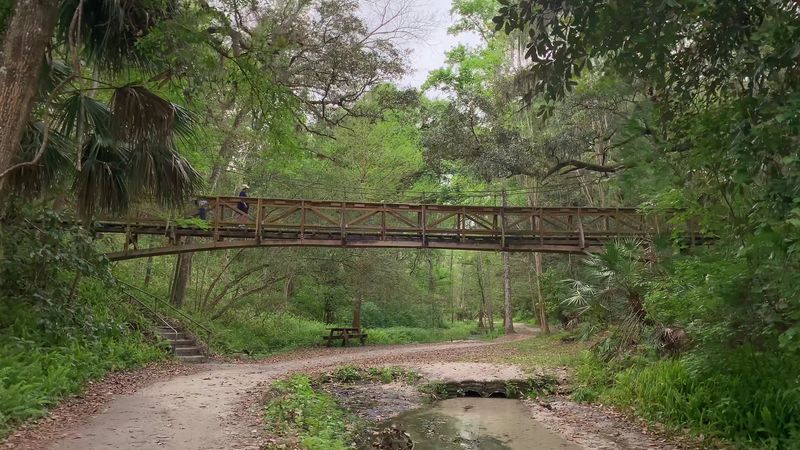 The Swinging Suspension Bridges
