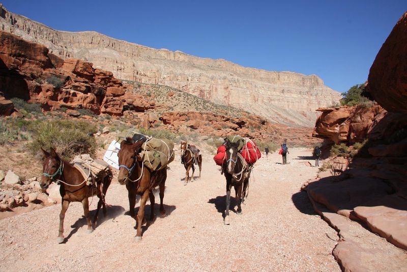 The Ten-Mile Trek Down From Hualapai Hilltop
