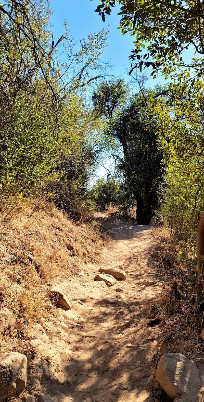 The Trailhead Riddle The Trailhead Riddle
