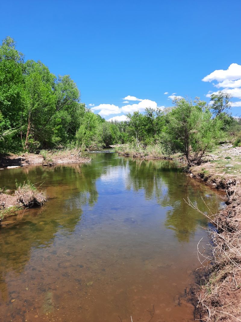 The Verde River Running Through It