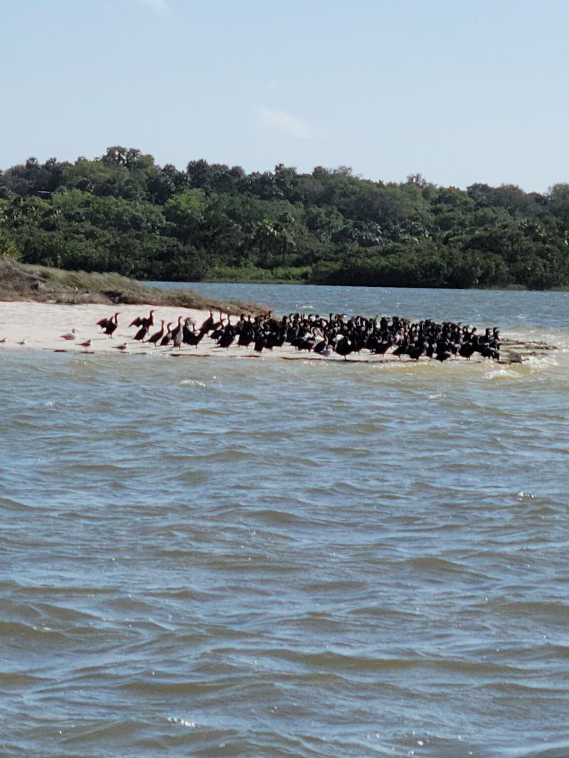 The Wildlife Refuge Just Offshore