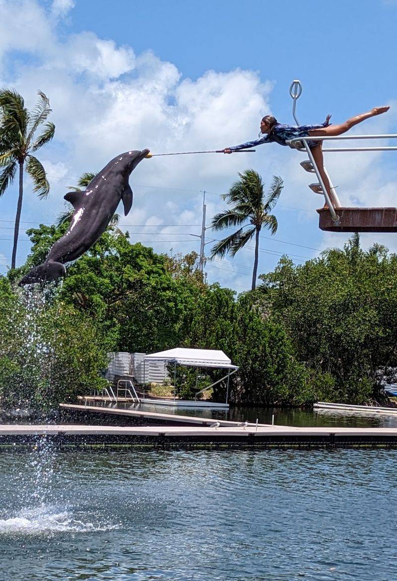 Theater of the Sea, Islamorada, FL