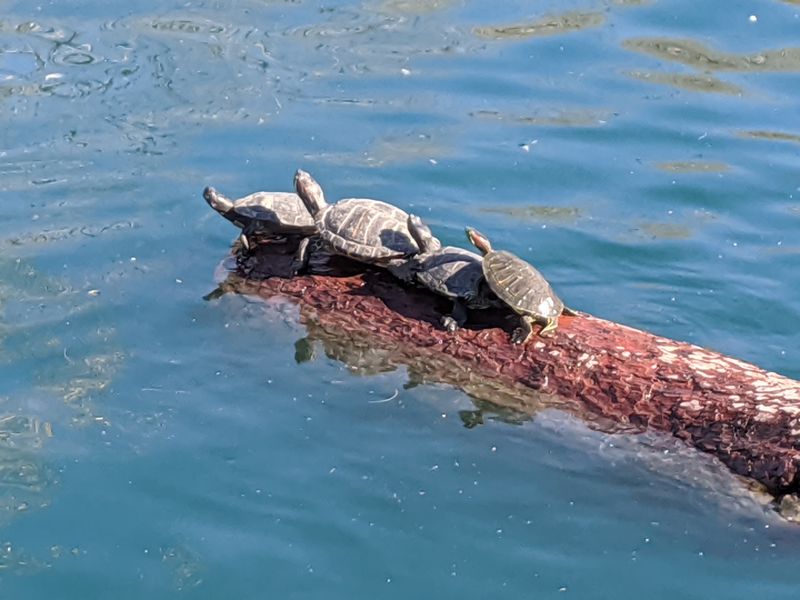 Trails, Fishing, and a Dino Dig for Kids Trails, Fishing, and a Dino Dig for Kids
