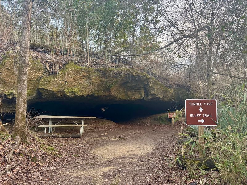 Trails That Feel Like Wild Florida Trails That Feel Like Wild Florida