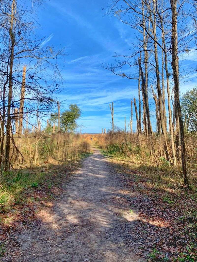 Trails Through Woods and Grass Trails Through Woods and Grass