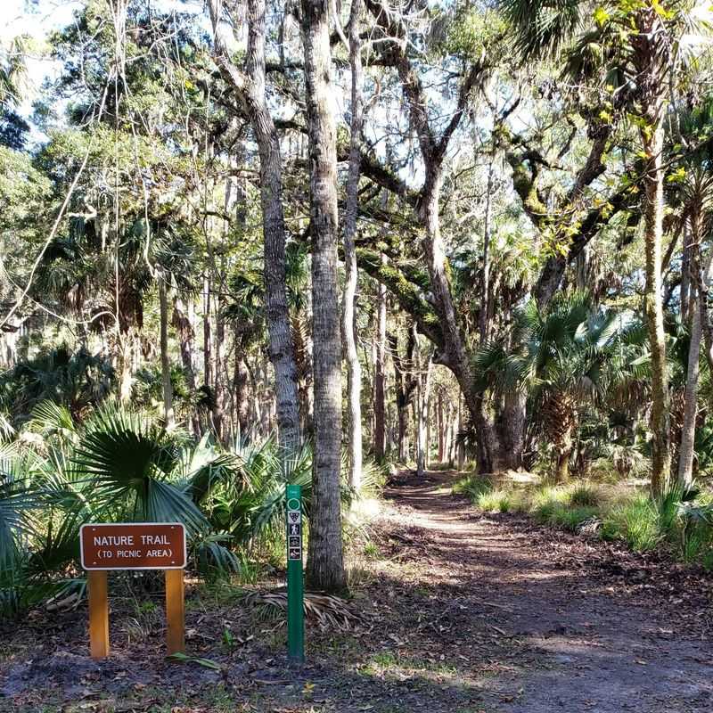 Trails Through the Oak Hammock