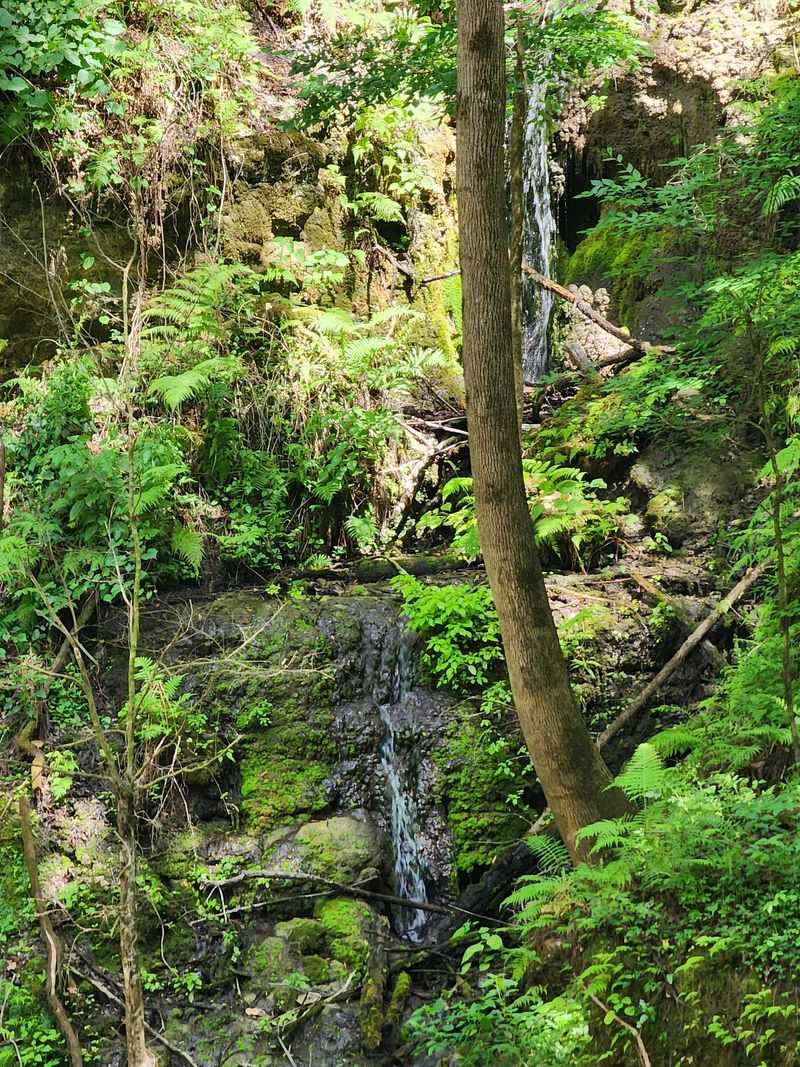 Trickling Waterfalls and Spring Water
