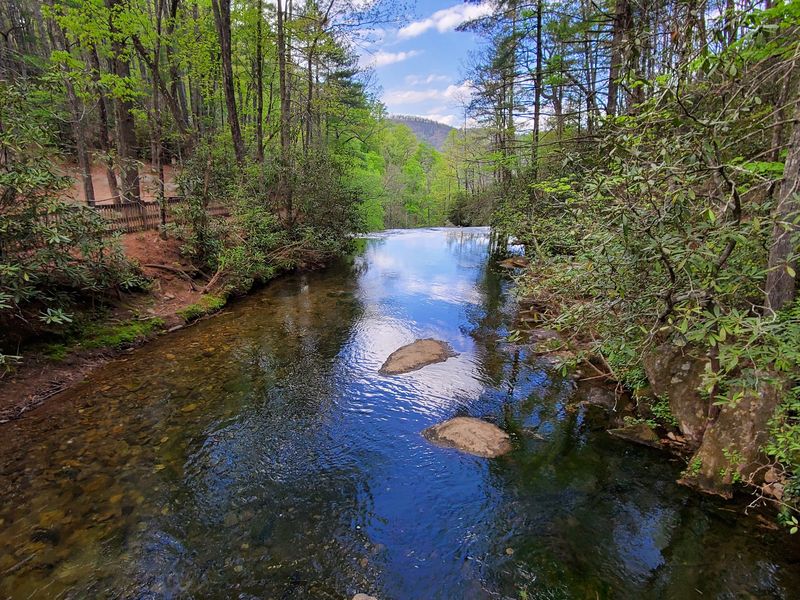 Trout Fishing In Clear Mountain Waters