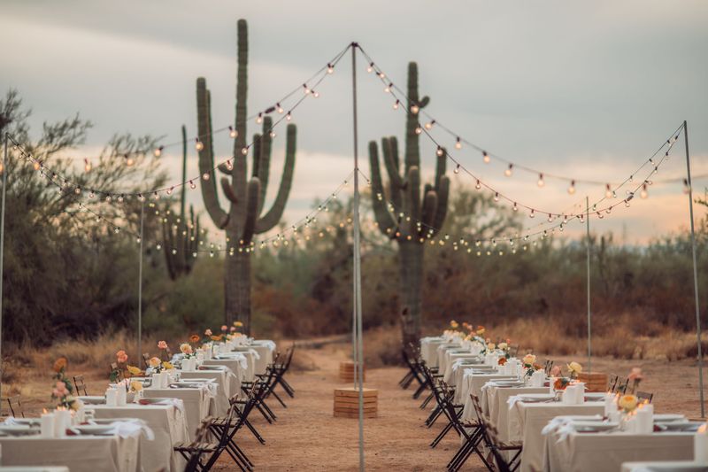 Turning Wild Ground Into A Styled Setting Turning Wild Ground Into A Styled Setting