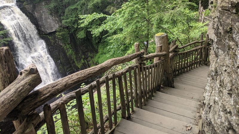 Understanding the Entrance Fee