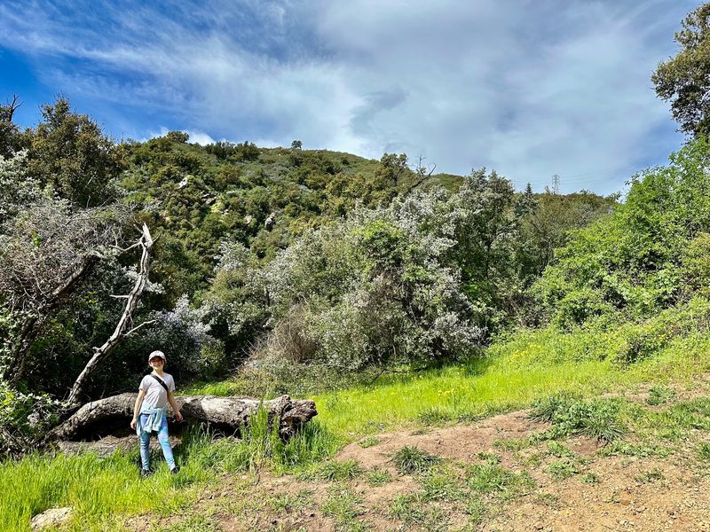 Views, Wildflowers, and Quiet Moments Views, Wildflowers, and Quiet Moments