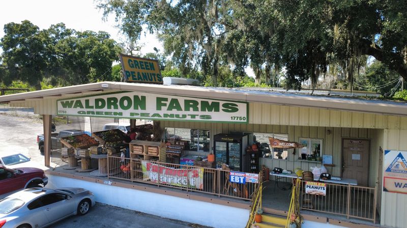 Waldron Farms, Citra, FL