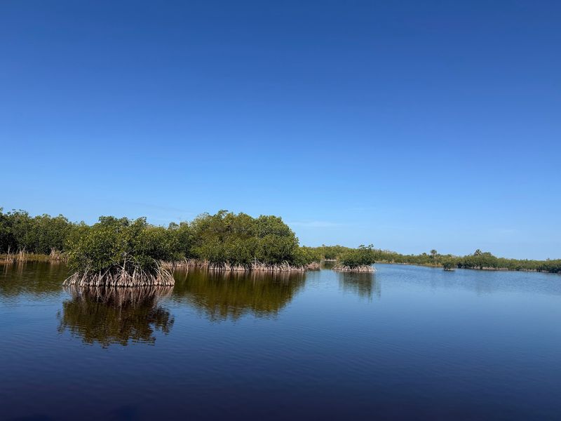 Weather, Water Levels, and Wildlife Odds