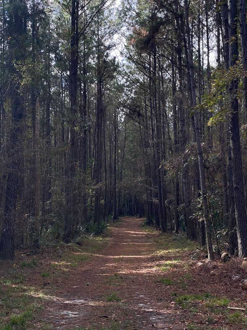 Well-Kept Paths and Controlled Burns Well-Kept Paths and Controlled Burns