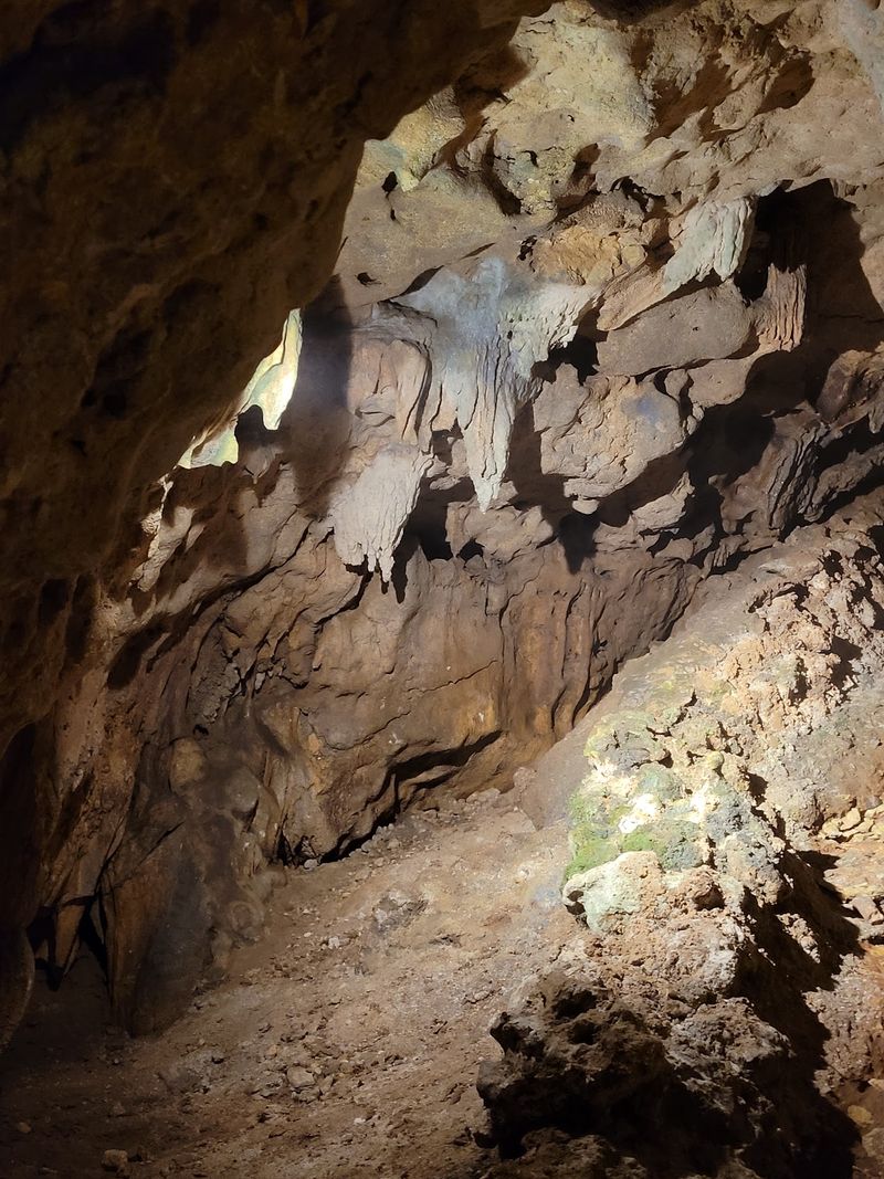 What the Cave Asks of Your Body What the Cave Asks of Your Body
