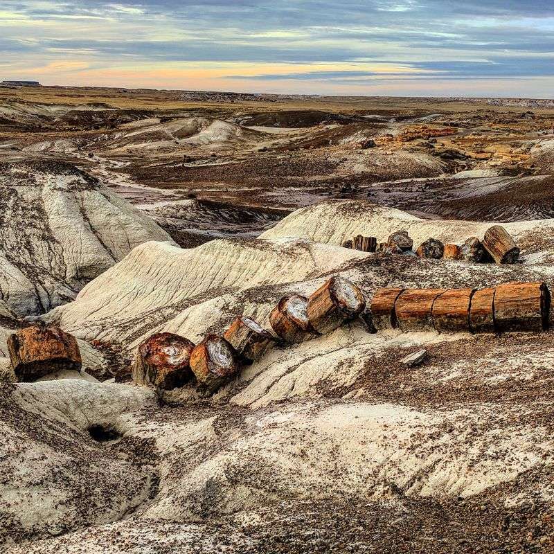 Where Ancient Logs Meet The High Desert Where Ancient Logs Meet The High Desert
