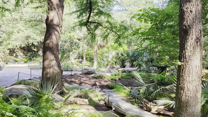 Where Dinosaurs Left Their Mark