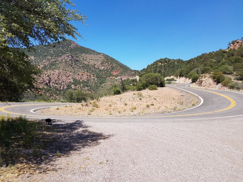 Where The Switchbacks Begin Where The Switchbacks Begin