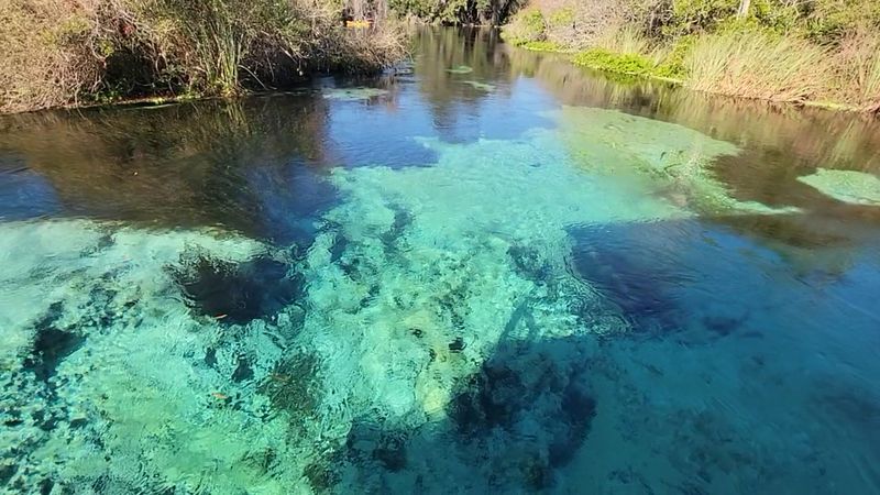 Where the Springs Meet the Highway Where the Springs Meet the Highway
