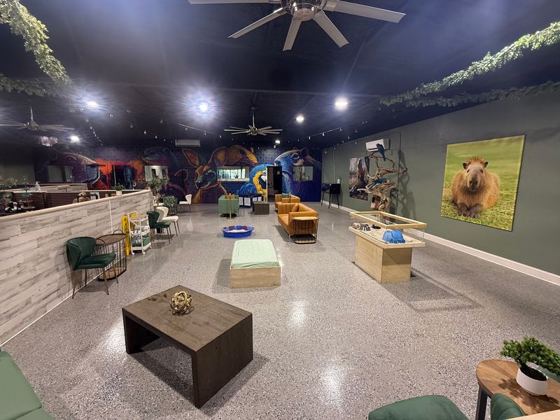 Where to Find This Quirky Animal Lounge Where to Find This Quirky Animal Lounge