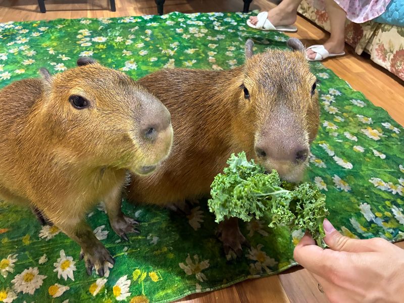 Where to Find This Roadside Animal Haven Where to Find This Roadside Animal Haven