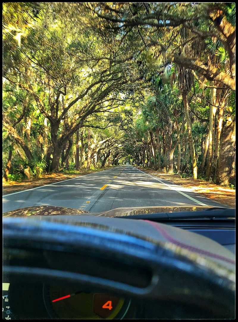 Who Will Love This Drive Most Who Will Love This Drive Most