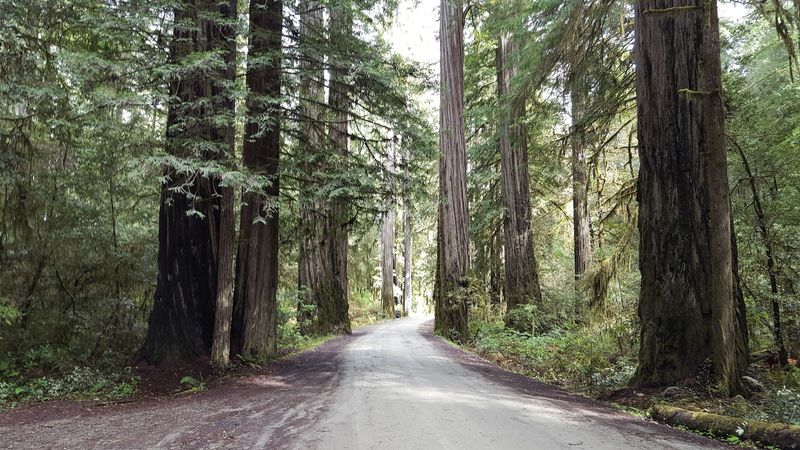 Who Will Love This Drive Who Will Love This Drive