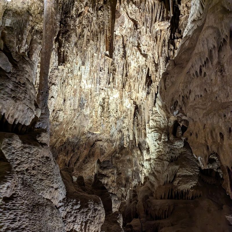 Why It Belongs on Every Arizonan's List