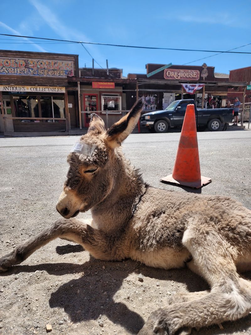 Why The Old West Still Feels Alive Here Why The Old West Still Feels Alive Here